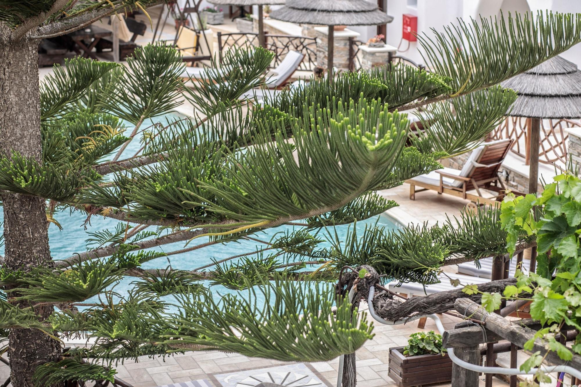 Anemomilos Beach Hotel Agia Anna (Naxos) Exterior foto