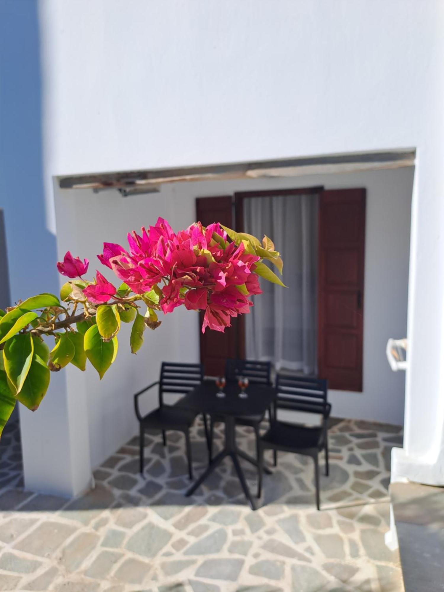 Anemomilos Beach Hotel Agia Anna (Naxos) Exterior foto